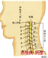 疼痛部位